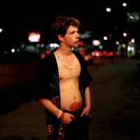 Stevie, West Hollywood, California