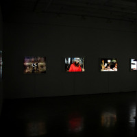 Yossi Milo Gallery