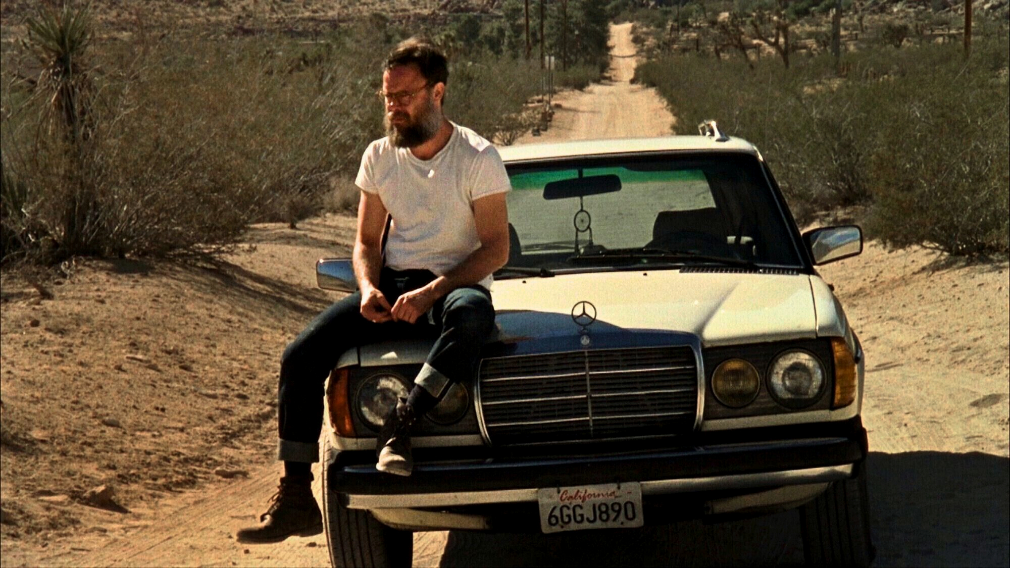 Untitled V, Joshua Tree, California