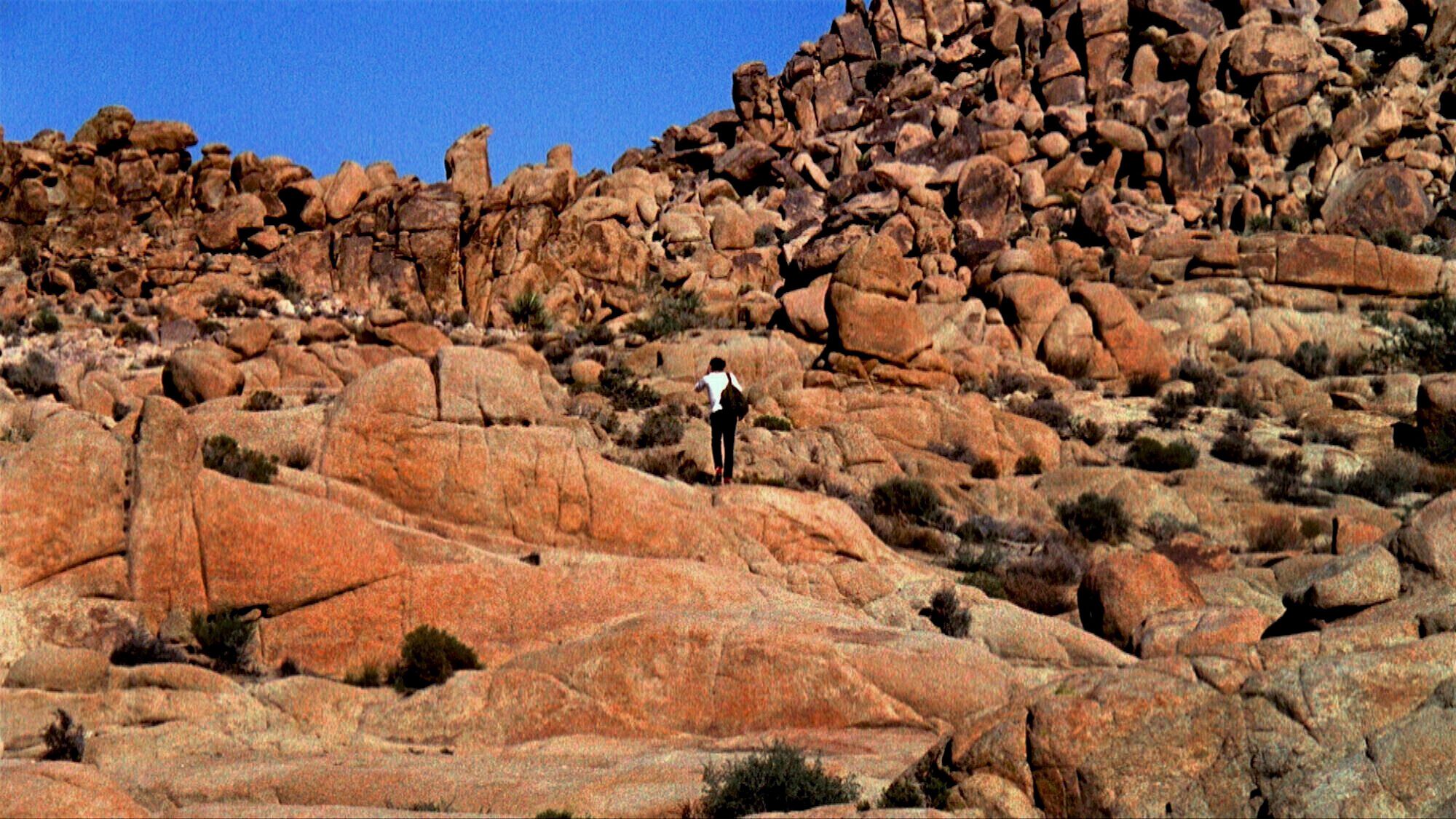 Untitled I, Joshua Tree, California