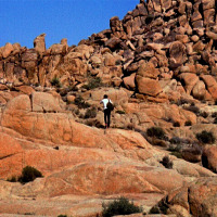 Untitled I, Joshua Tree, California