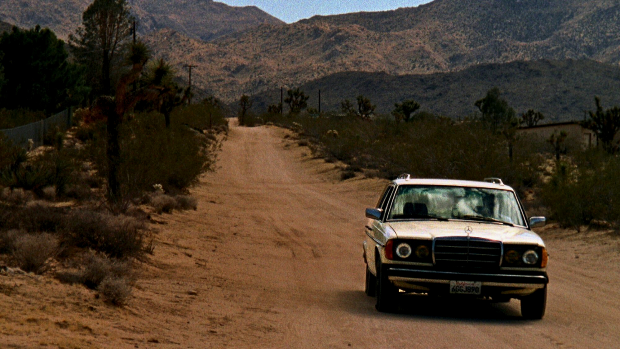 Untitled III, Joshua Tree, California
